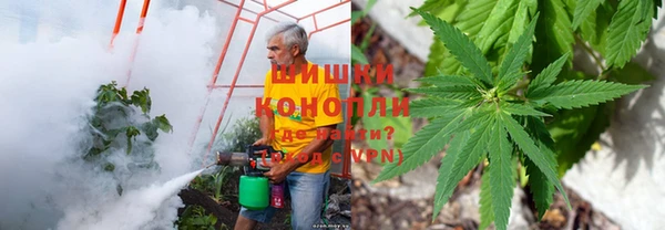 дмт Осташков