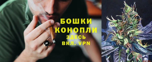 сатива Остров